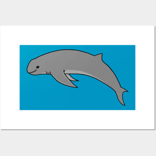 Australian Snubfin Dolphin Posters and Art